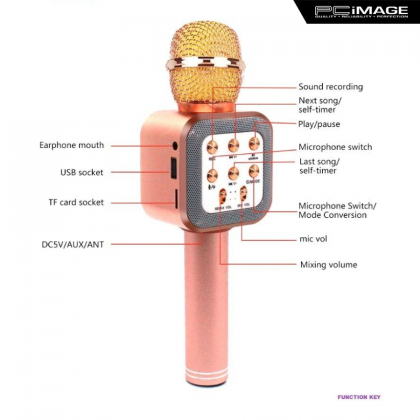 WS1818 Wireless Microphone Hifi Speaker