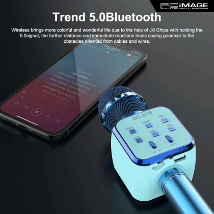 DS878 Wireless Microphone Hifi Speaker