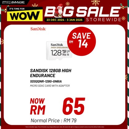 SanDisk Extreme High Endurance 32GB/64GB/128GB/256GB SDSQQNR